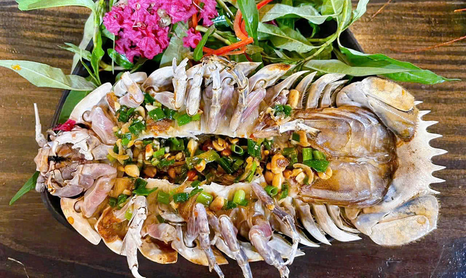 “Tôm hùm vũ trụ: đặc sản biển sâu độc lạ khiến dân tình phát sốt”
